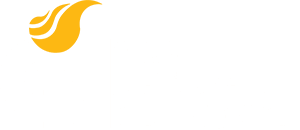 Gas Natural del Norte